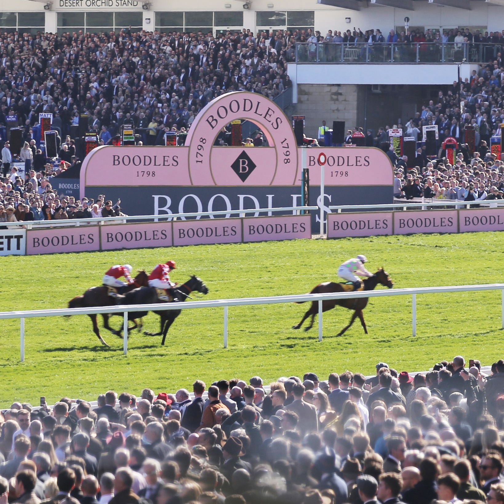 Cheltenham Gold Cup 2025 Boodles