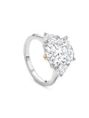 Peace of Mined Petal Diamond Platinum Ring | Boodles