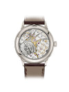 Patek Philippe Grand Complications Watch Ref. 5236P-010