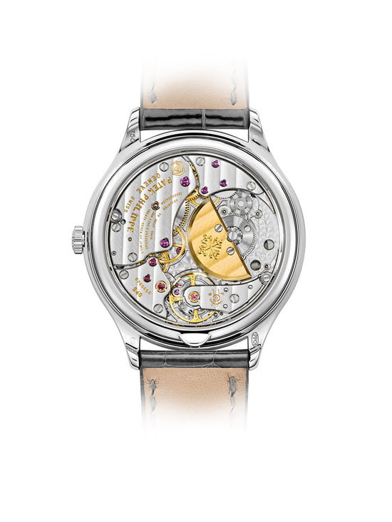 Patek Philippe Grand Complications Watch Ref. 7140G-001