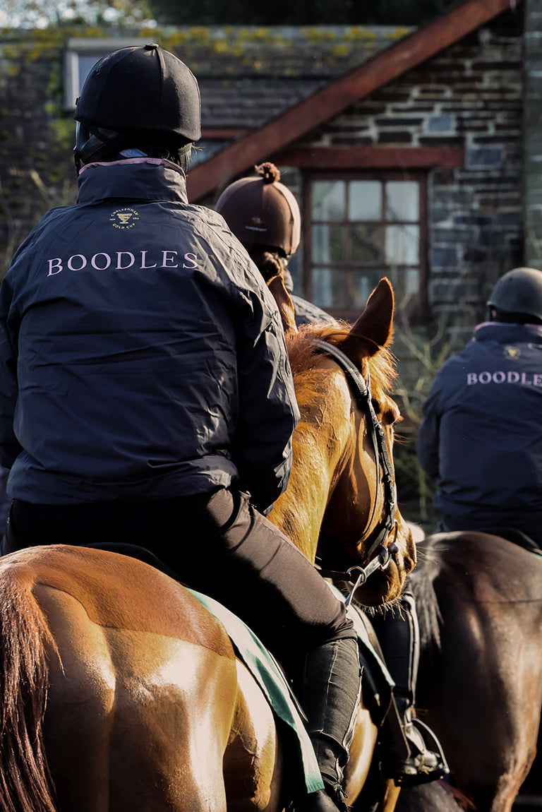 The Boodles Cheltenham Gold Cup, horses in Willie Mullins training yard.