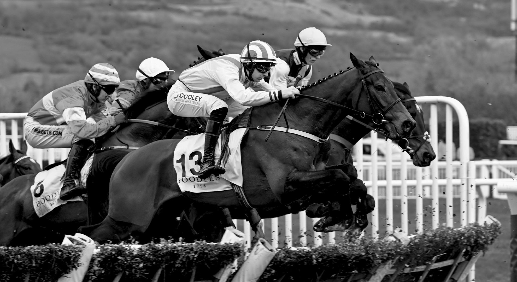 The Boodles Cheltenham Gold Cup horses jumping hurdles.