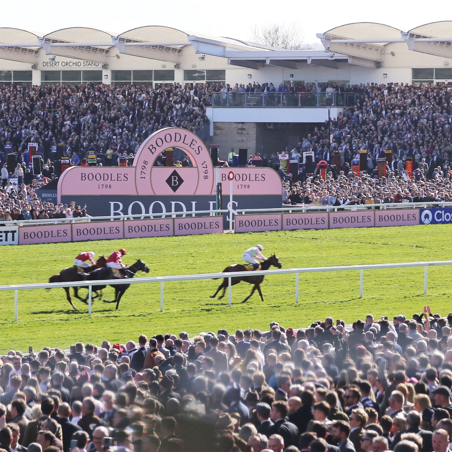 The Boodles Cheltenham Gold Cup, horse on the racecourse and crowds in stands, sponsored by Boodles