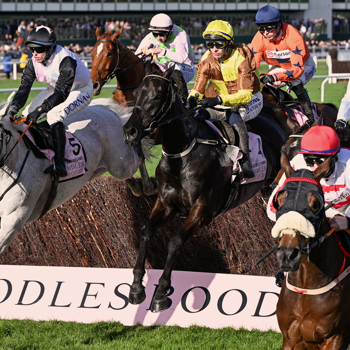 The Boodles Cheltenham Gold Cup, Galopin des champs jumping in race 2024 and 2023.