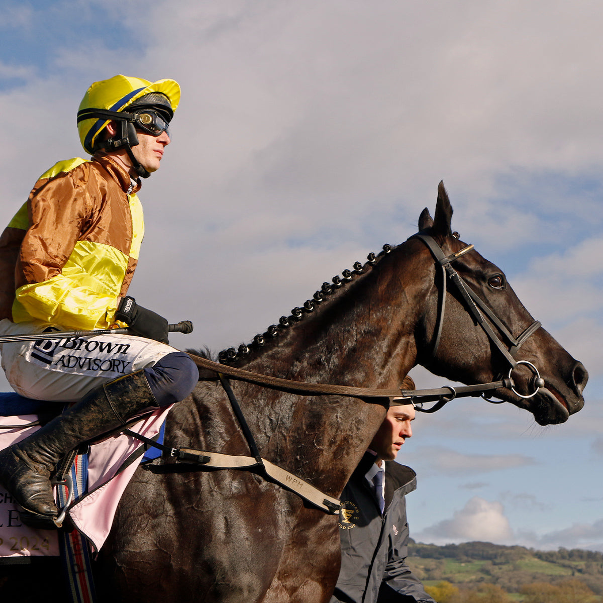 The Boodles Cheltenham Gold Cup, Galopin des champs winner 2024 and 2023.