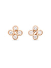 Be Boodles Rose Gold Stud Earrings